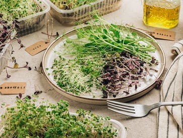 Fresh Power with Sprouts