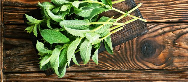 Tips for Cooking with Mint