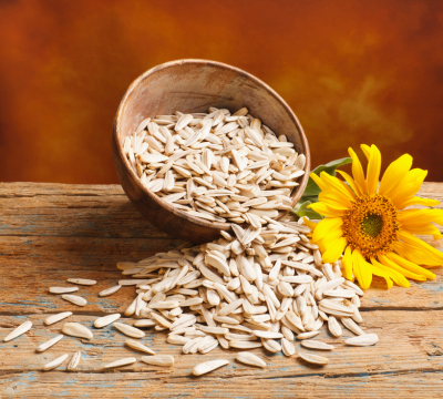Graines de tournesol à grignoter en collation