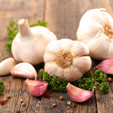 Garlic to Flavour Dishes