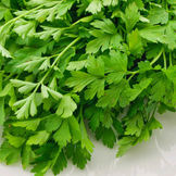 Coriander for Cooking