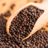 Mustard Seeds for Cooking