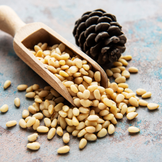Pine Nuts - Delicious as a Snack and for Cooking & Baking