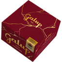 Galup Panettone mit Gianduja-Füllung - 1.000 g