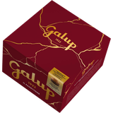 Galup Panettone mit Gianduja-Füllung