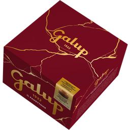 Galup Panettone with Gianduja Filling - 1.000 g