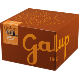 Galup Panettone with Gianduja Filling - 1.000 g