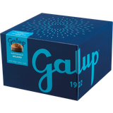 Galup Panettone Milano