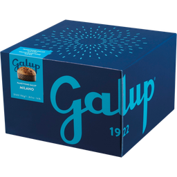 Galup Panettone Milano - 750 g