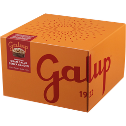 Galup Panettone without Candied Fruit - 750 g