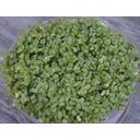 De Bolster Broccoli Kiemgroente - 25 g