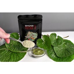 Wasabi Paste Powder