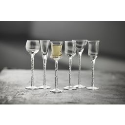 Schnappsglas Rom 18 cm 6 Stück Klar - 1 Set