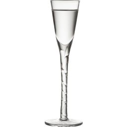 Schnapsglas Paris 2,5 cl 6 Stück Klar - 1 Set