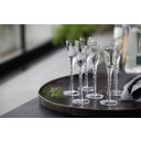 Schnapsglas Paris 2,5 cl 6 Stück Klar - 1 Set