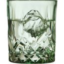 Lyngby Glas Verre à Whisky Sorrento 32 cl - Lot de 4 - Vert