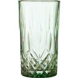 Lyngby Glas Highball Sorrento 38 cl 4 Stück - Grün