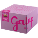 Galup Panettone mit Waldbeeren & Joghurt - 750 g