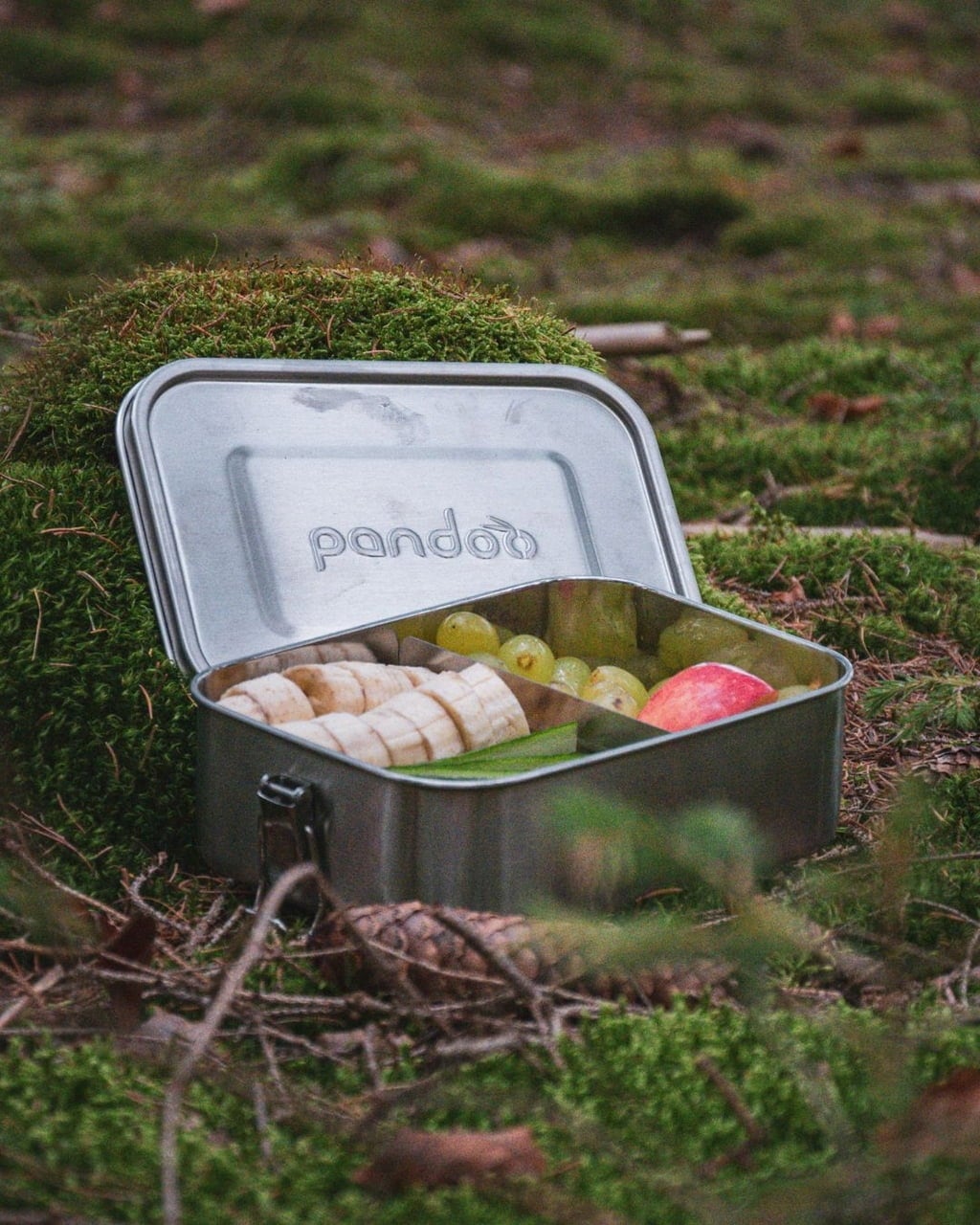 pandoo Stainless Steel Lunchbox  - 1.200 ml