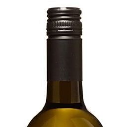 Weingut Krispel Pinot Bianco Classico