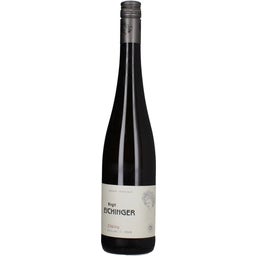 Weingut Birgit Eichinger Riesling Strass Kamptal DAC 2023