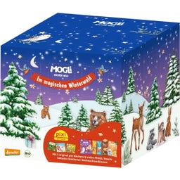 Ekologisk Adventskalender 