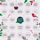 Biologische Adventskalender 