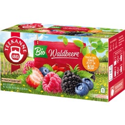 TEEKANNE BIO Früchtegarten Waldbeere - 18 Teebeutel