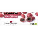 Zotter Schokoladen Surkörsbär - 100 g