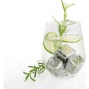 cilio Kühlwürfel STEEL 4er-Set