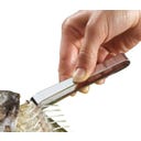 Küchenprofi Grätenpinzette