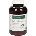 Classic Ayurveda Bio psyllium - 100 g