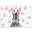 STYX Húsvéti box - Nyuszi - 1 szett