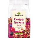 Alnatura Krunchy Granola Bär, Eko - 350 g