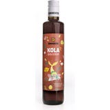 Sonnentor Bio syrop kola