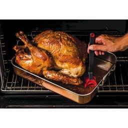 Dreamfarm Brizzle Brush - Red