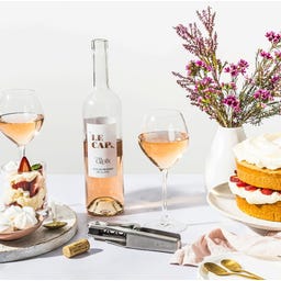 Dreamfarm Weinöffner Winopen