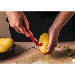 Dreamfarm Sharple Peeler - Red