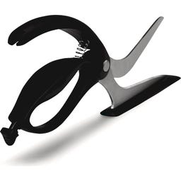 Dreamfarm Pizzasax Scizza - Svart