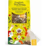 BIO Botanicals voor Gin Sinaasappel, Kaneel & Gember