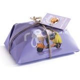 Galup Colomba Amarene e Cioccolato