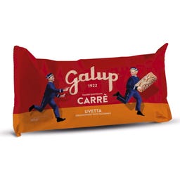 Galup Natursauerteigkuchen mit Rosinen - 400 g