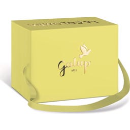 Galup Colomba mit Zitrone & Aprikose - 750 g