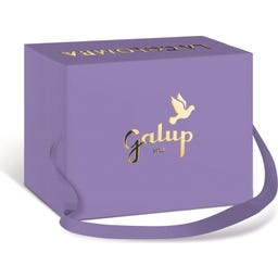 Galup Colomba mit Himbeeren & Schokolade - 750 g