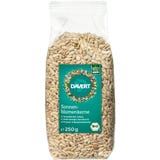 Davert Bio Sonnenblumenkerne
