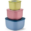 Eco Store & More - Lot de 3 Boîte de Conservation - Fond, bleu