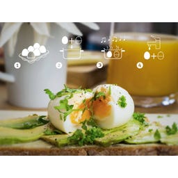 Brainstream PiepEi - Eggsercise