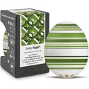 Brainstream PiepEi - Circles