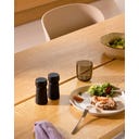 Brainstream Amsterdam Gewürzmühlen-2er-Set - Black