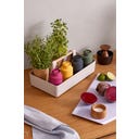 Brainstream Billund Gewürzmühle 12 cm